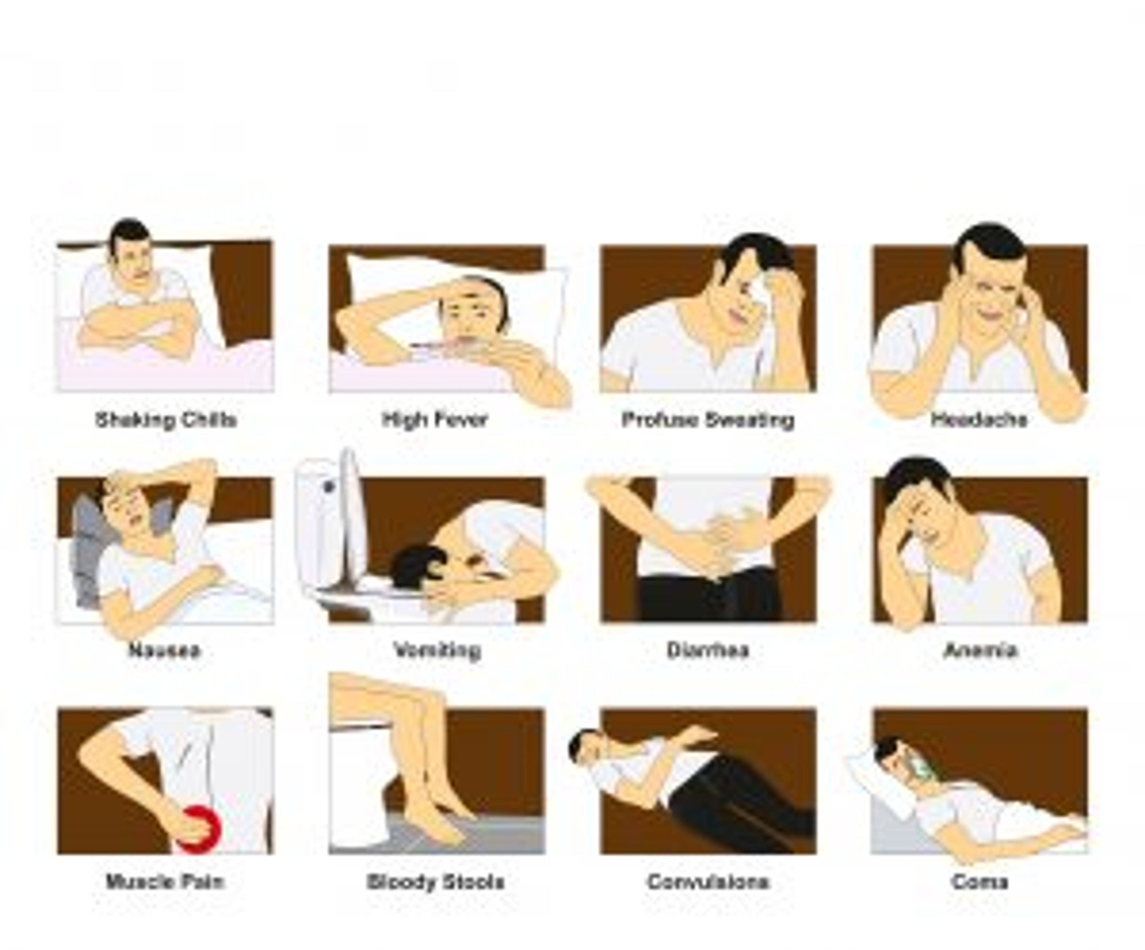 MALARIA SYMPTOMS & TREATMENT-image