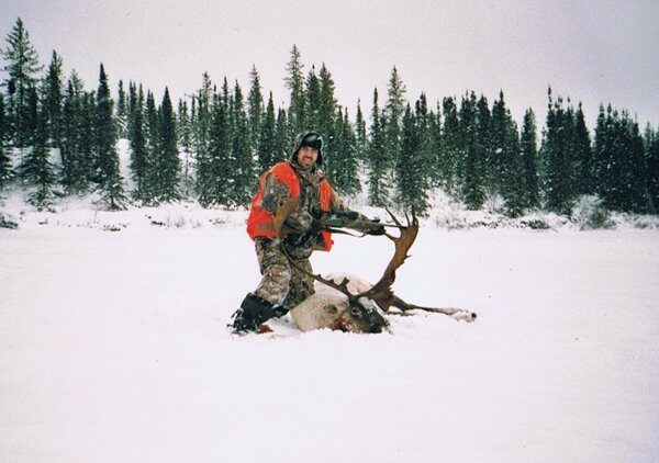 Chasse Caribou