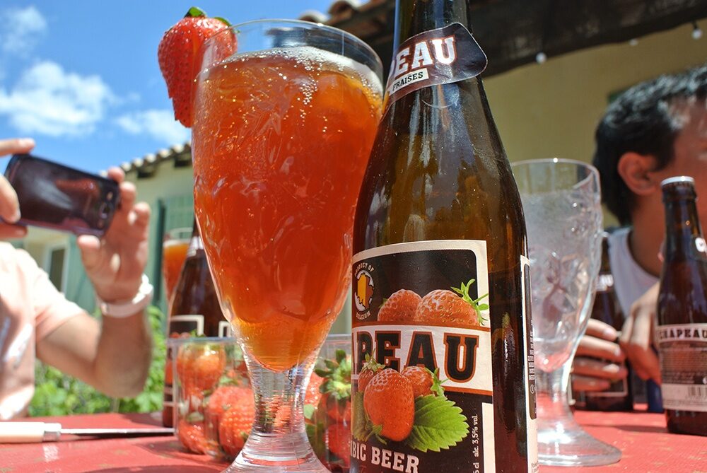 Bière Belge Floris Framboise - Bière fruitée belge - Brasserie Huyghe