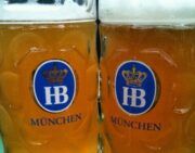 Hofbrau-mass-bier