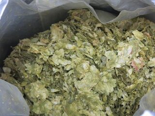 houblon