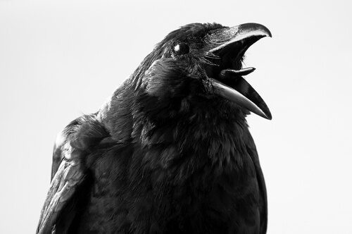 shutterstock_169830656