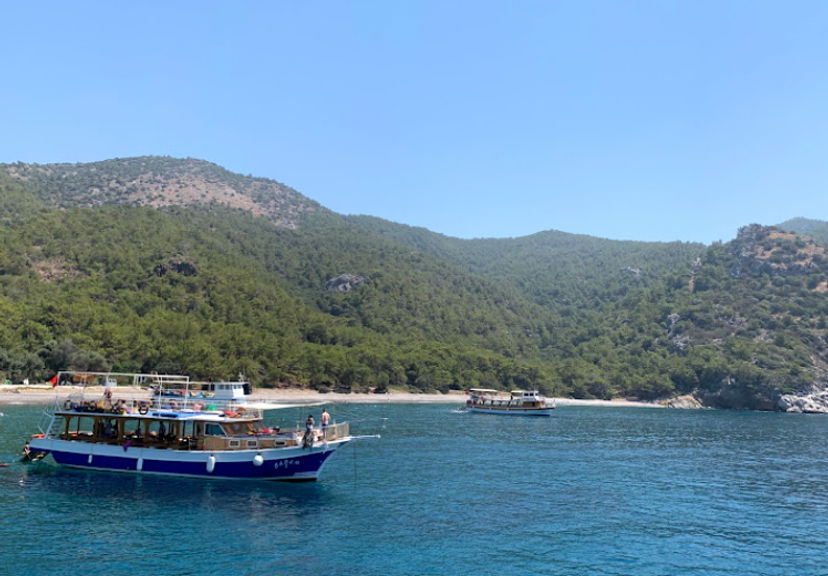Domuz Çukuru