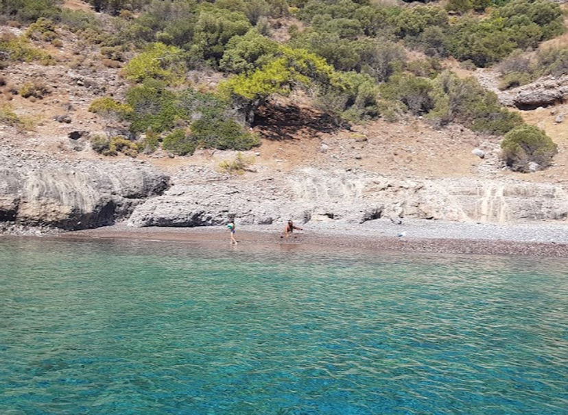 Domuz Çukuru