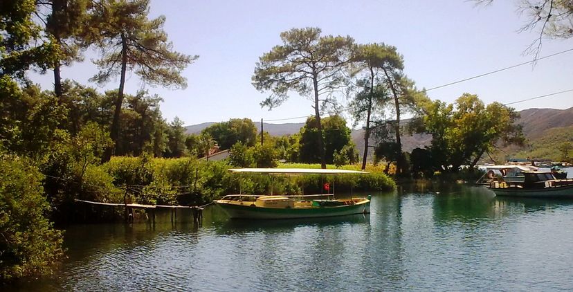 Okluk Koyu