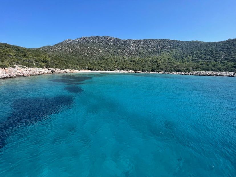 Poyraz Koyu, Bodrum