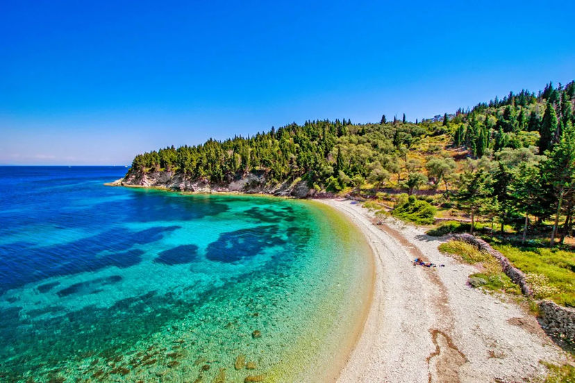 Paxos