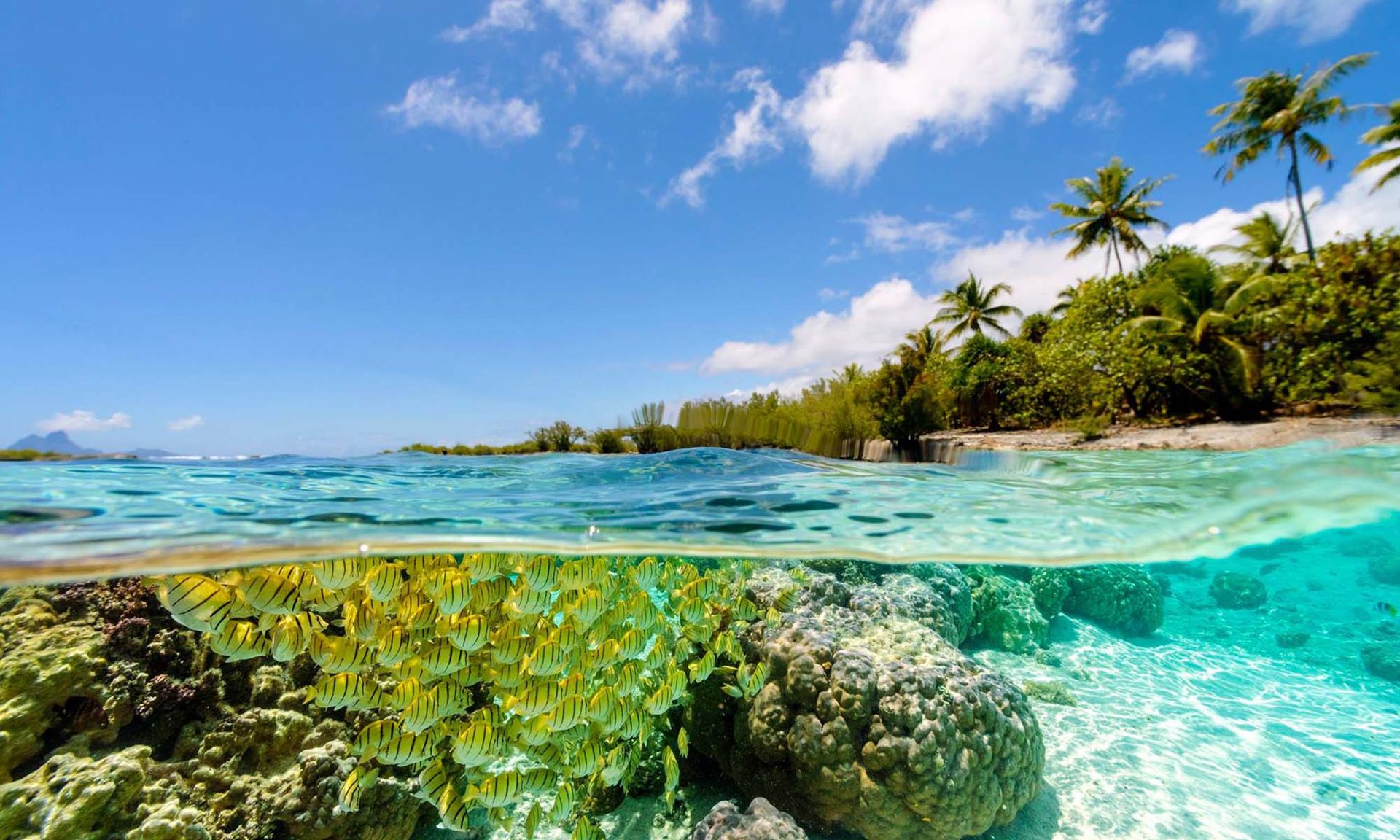 French Polynesia