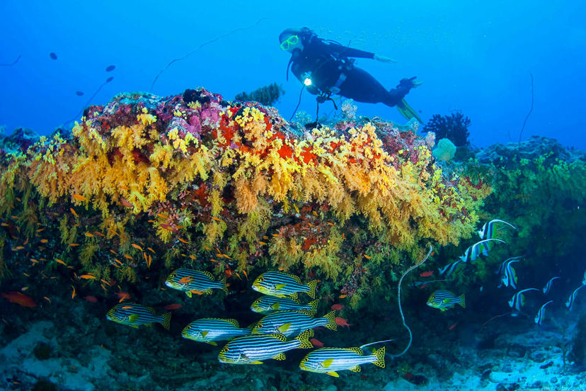 Vaavu Atoll