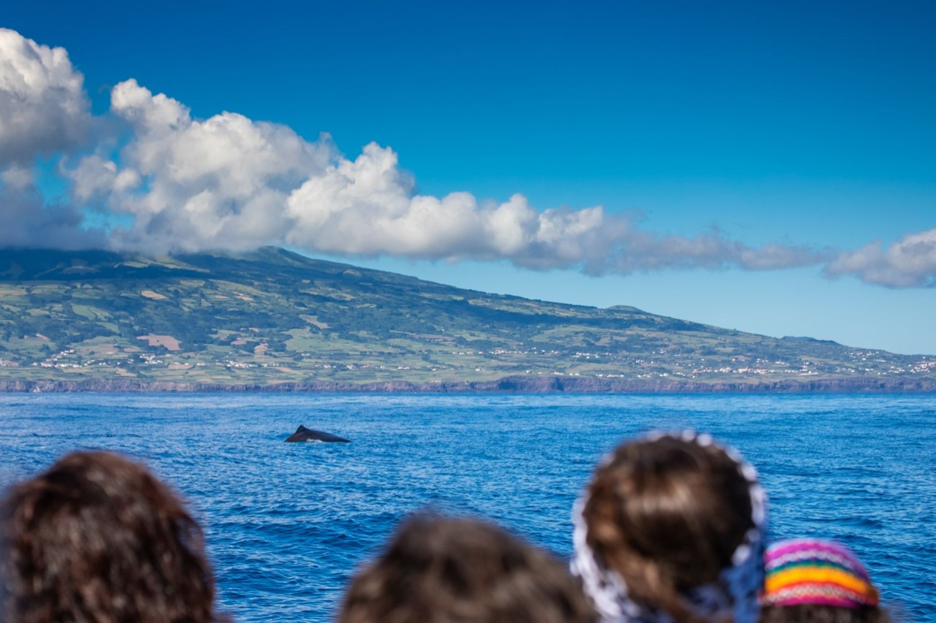 Faial