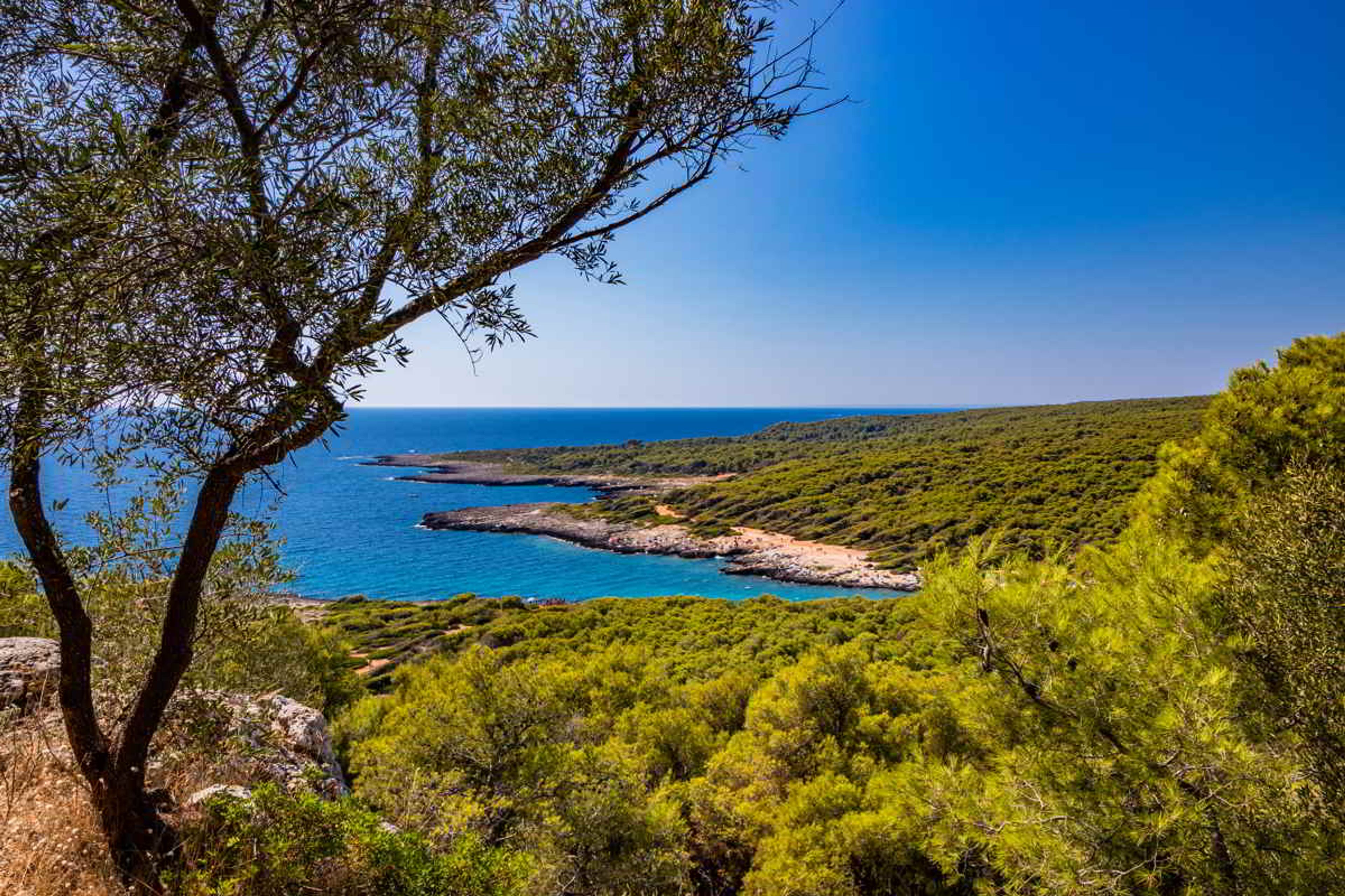 Navega por Porto Selvaggio: la costa salvaje del parque de Salento