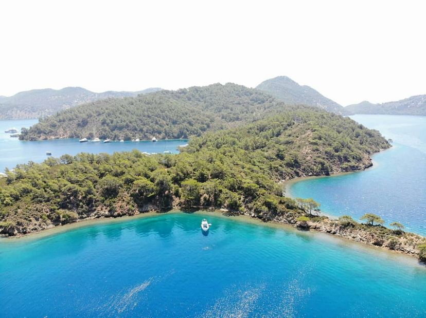 Domuz Adası
