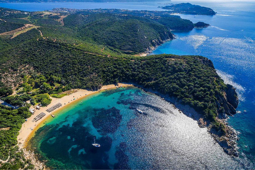Ammoulliani