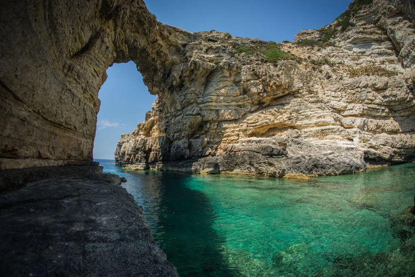 Paxos