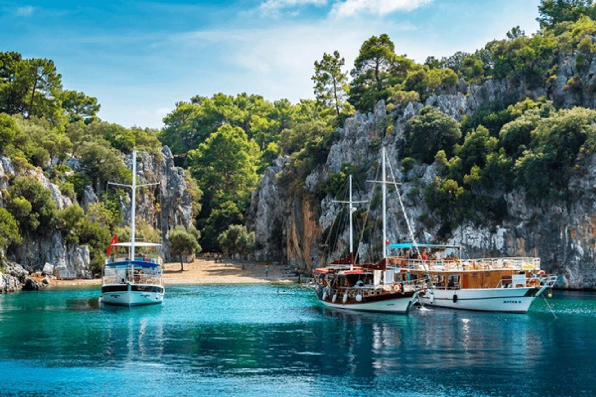 Domuz Adası
