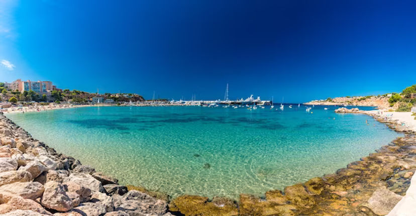 Palma