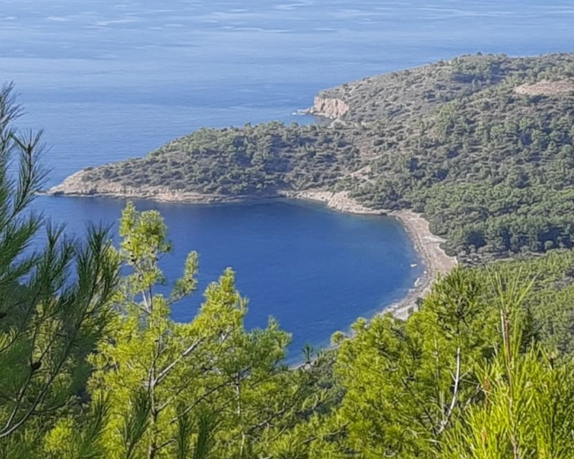 Domuz Çukuru