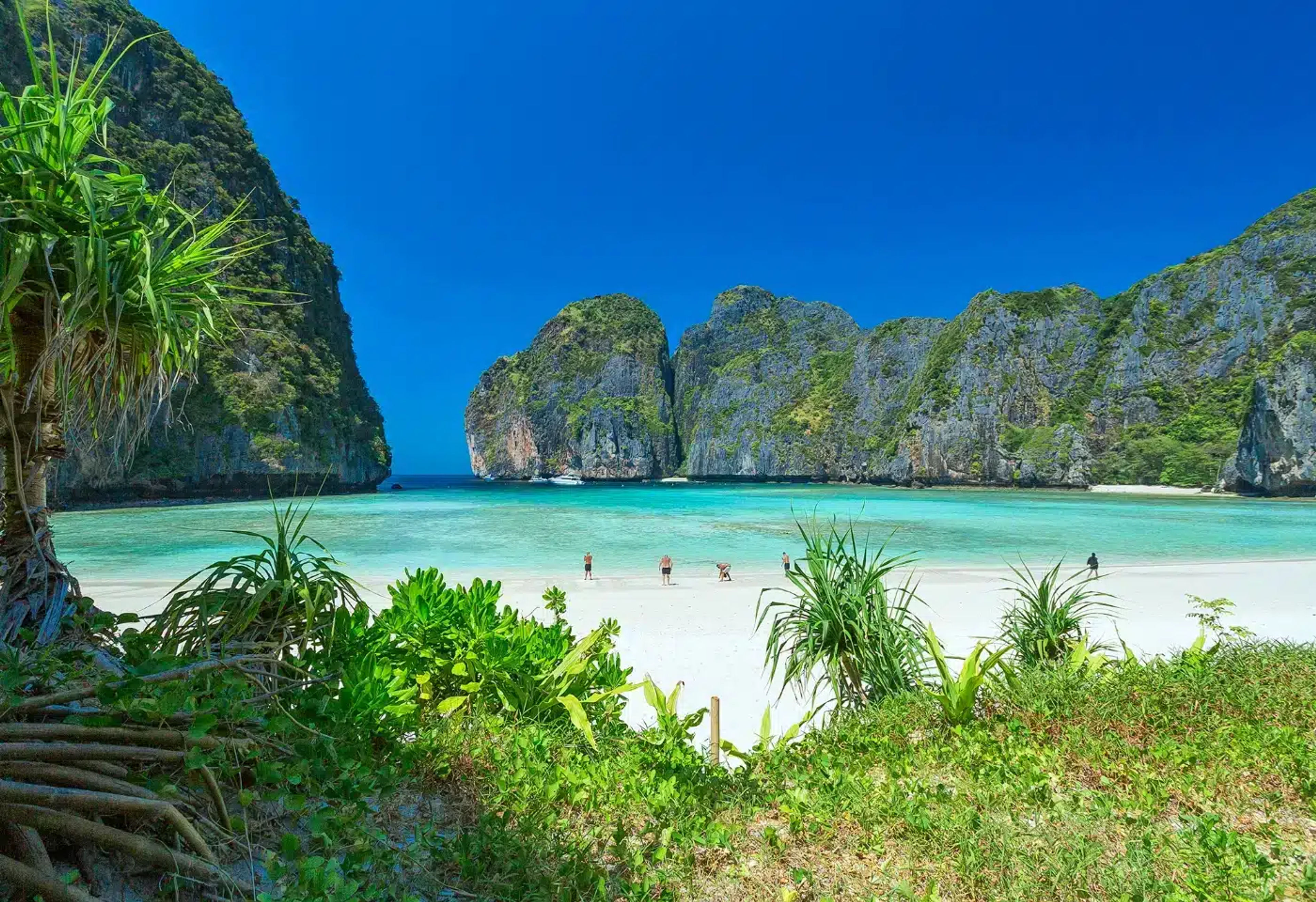 Naviga a Phi Phi Leh: scogliere di Maya Bay