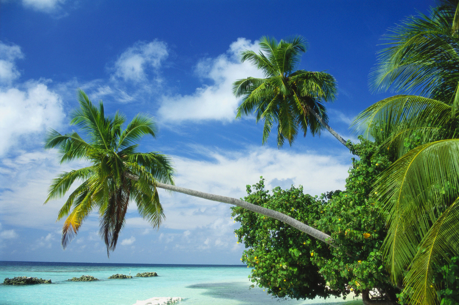 North Malé Atoll
