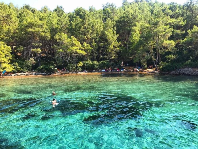 Paradise Island