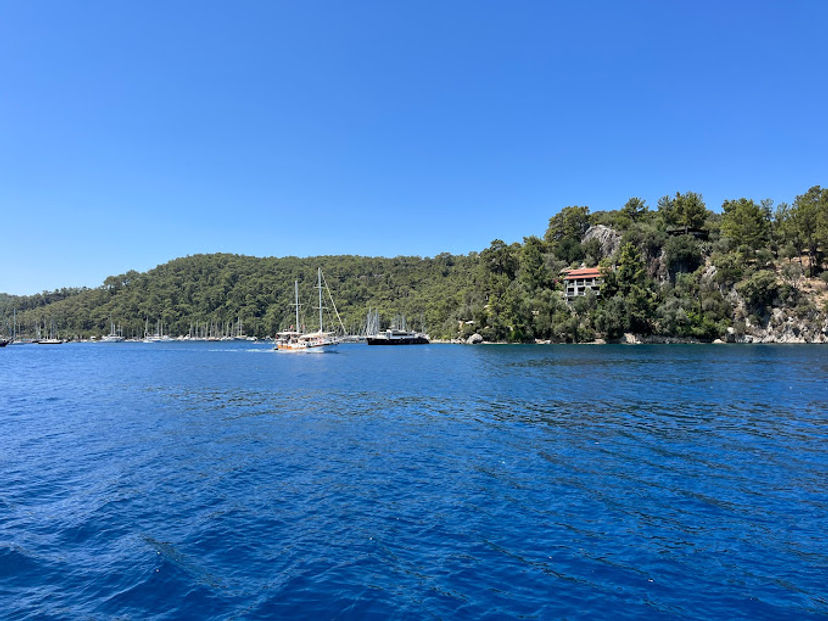Karacasöğüt