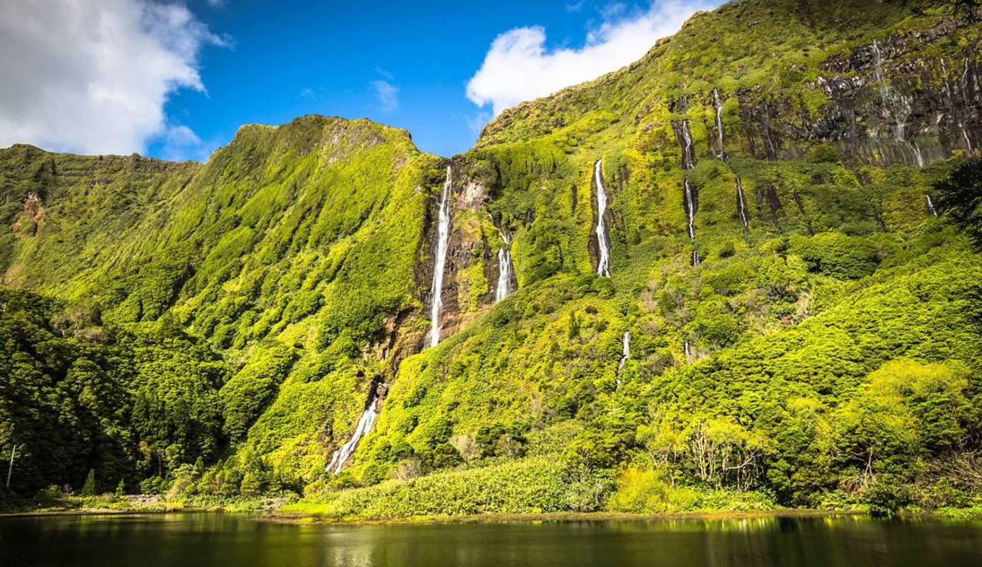 Flores