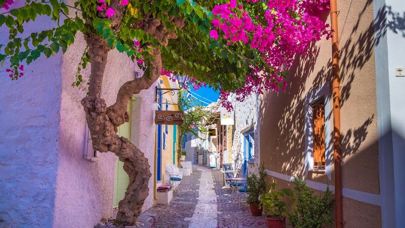 Syros