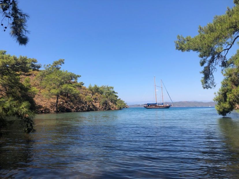 Çatı Koyu, Bodrum
