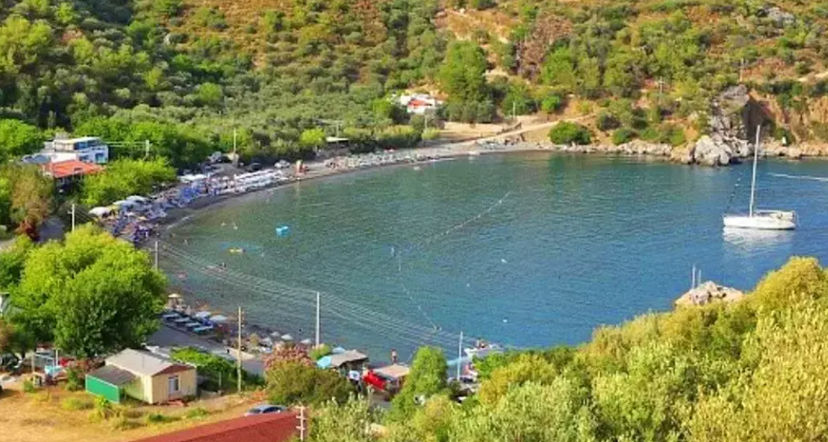 Hayt Bükü