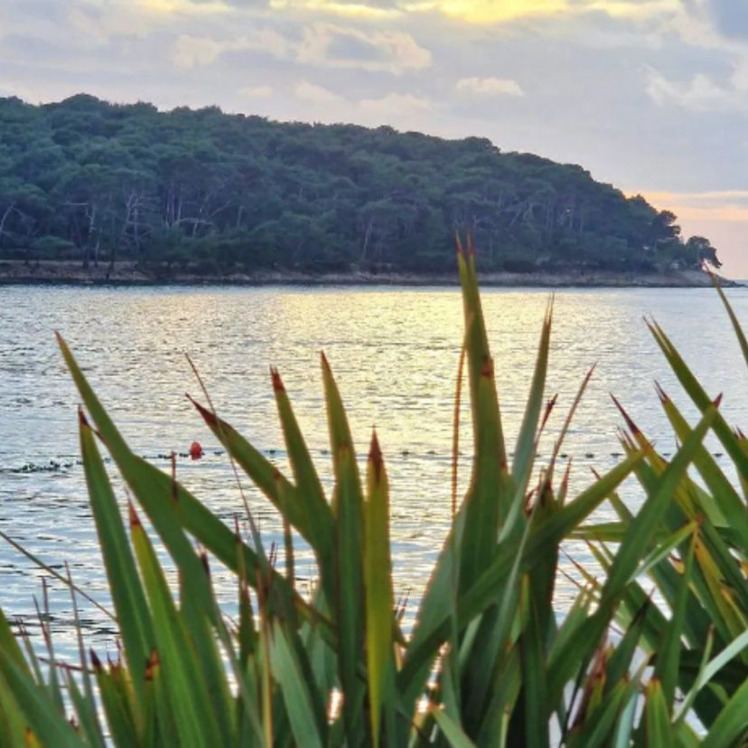 Losinj