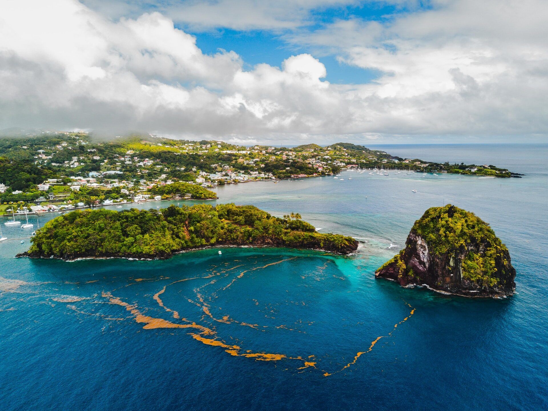 Grenadines