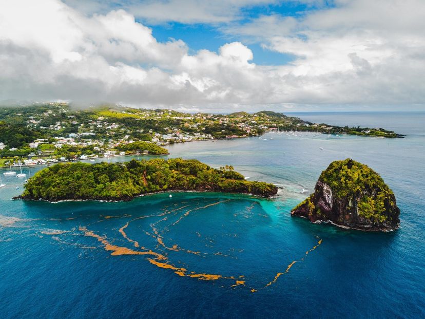 Grenadines
