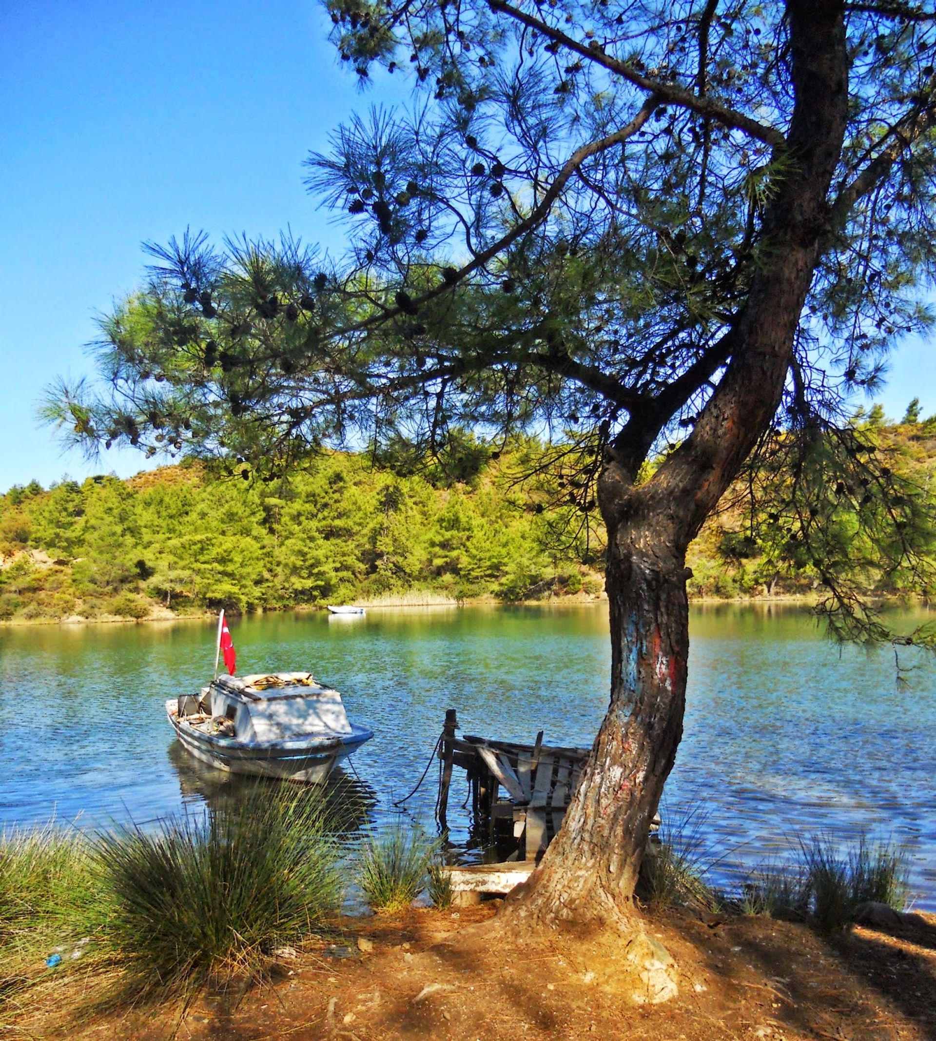 Çatı Koyu, Bodrum