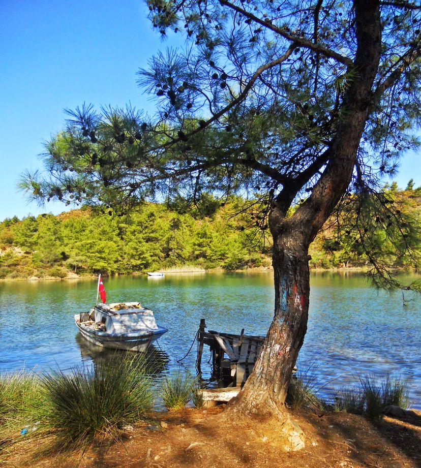 Çatı Koyu, Bodrum