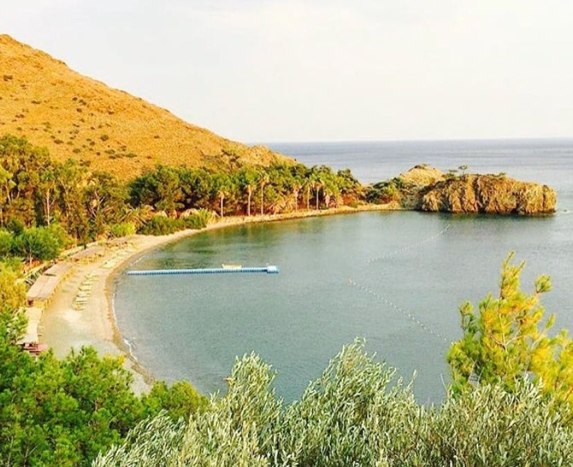 Gabaklar Koyu