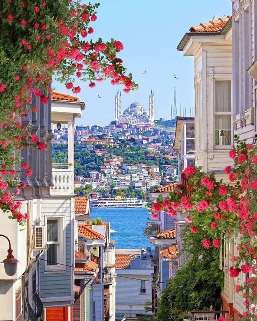 Arnavutköy