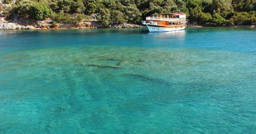 Domuz Adası