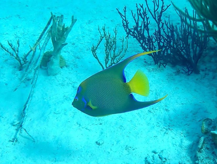 Warderick Wells Cay