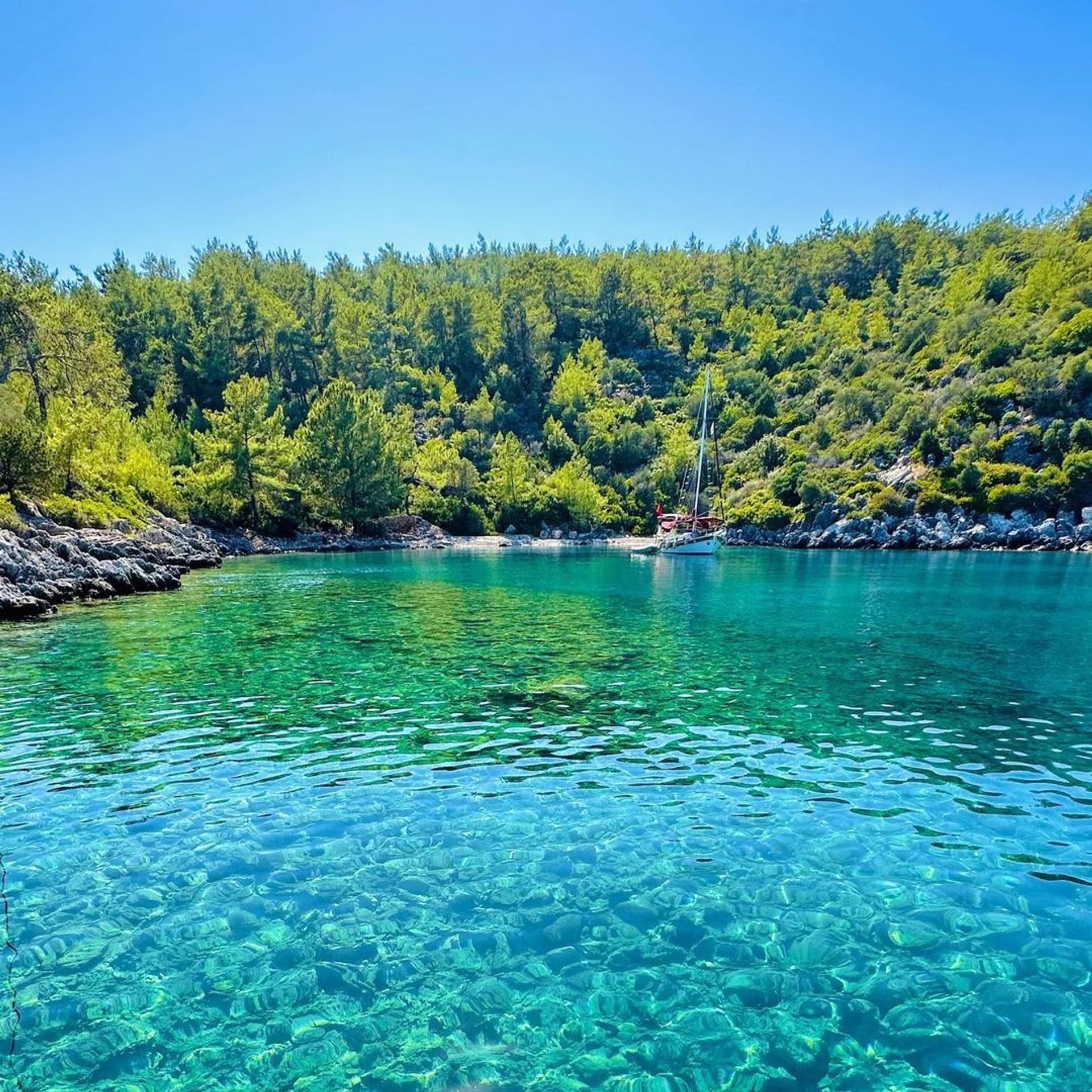 Kissebükü Koyu, Bodrum