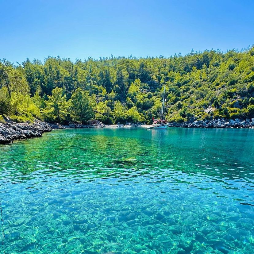 Kissebükü Koyu, Bodrum