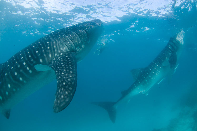 Baa Atoll