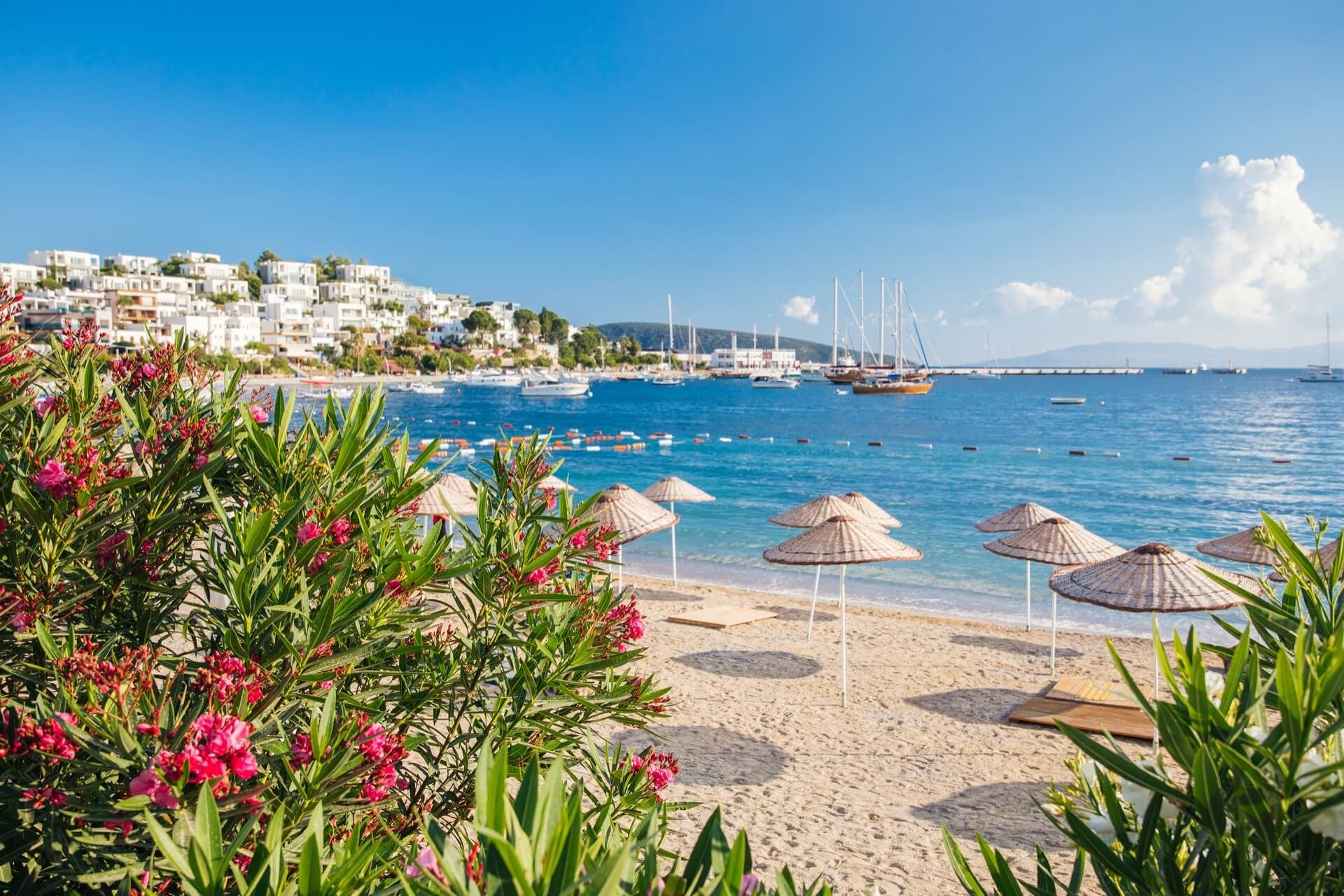 Turkey