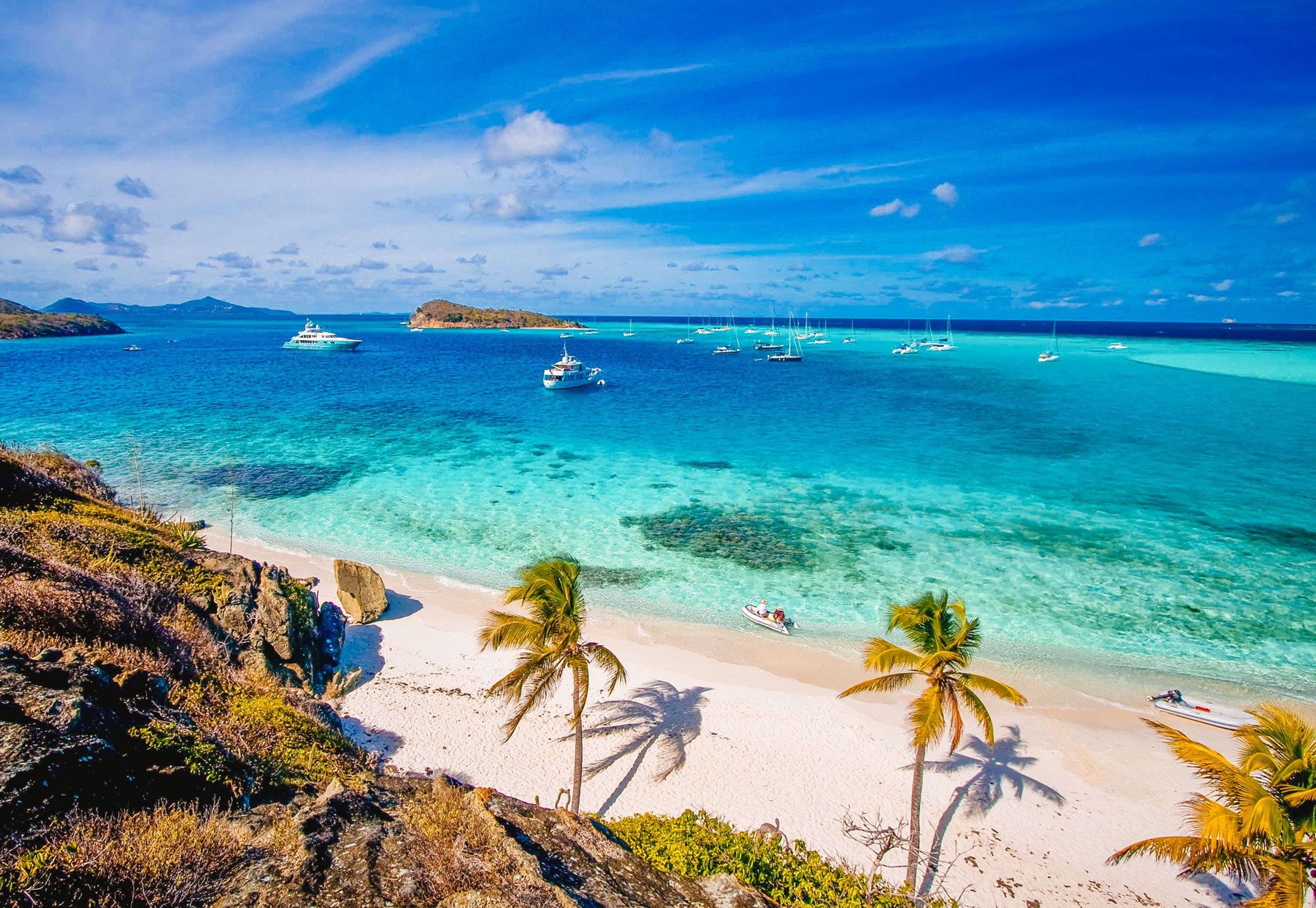 Navega por Tobago Cays: tortugas marinas en el parque marino