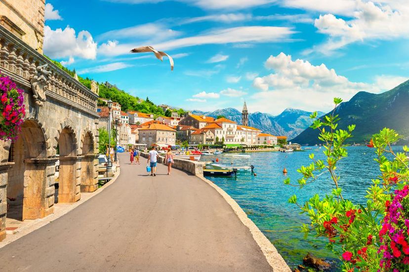 Kotor