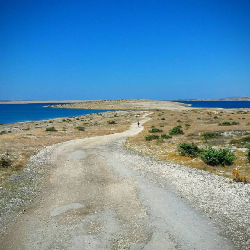 Zecevo Adası
