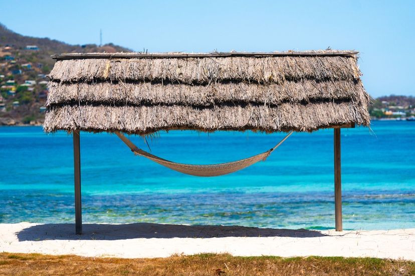 Petit St. Vincent