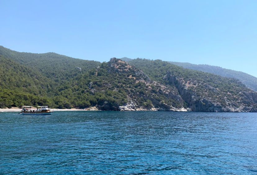 Domuz Çukuru