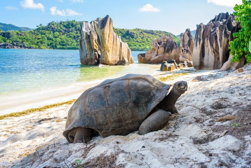 Praslin