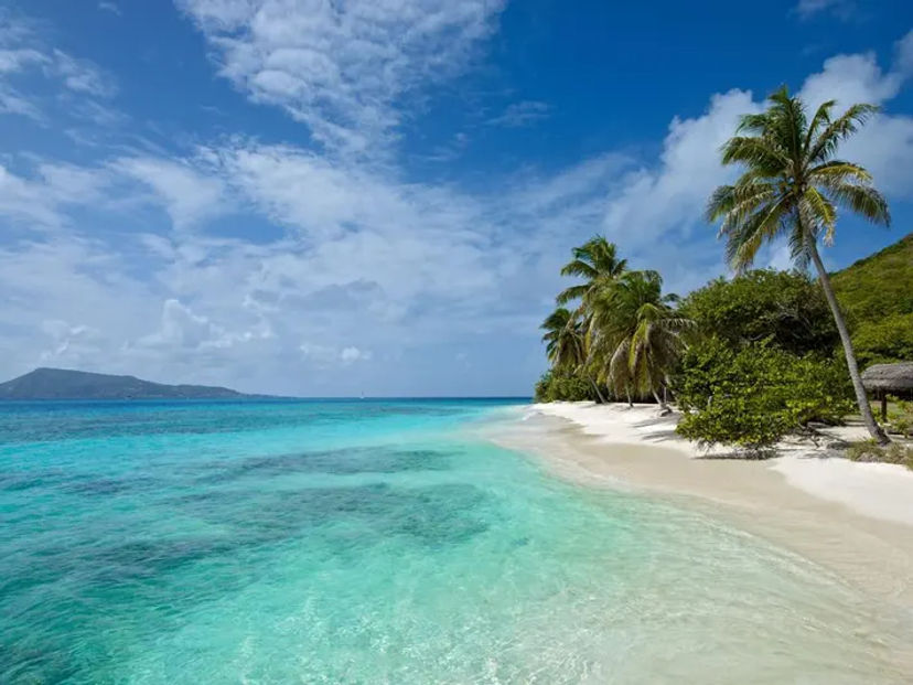 Petit St. Vincent