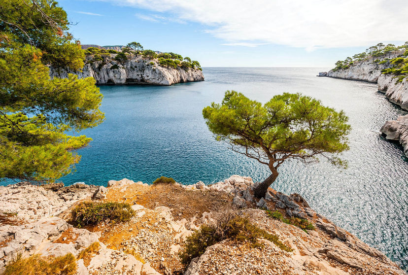 Cassis